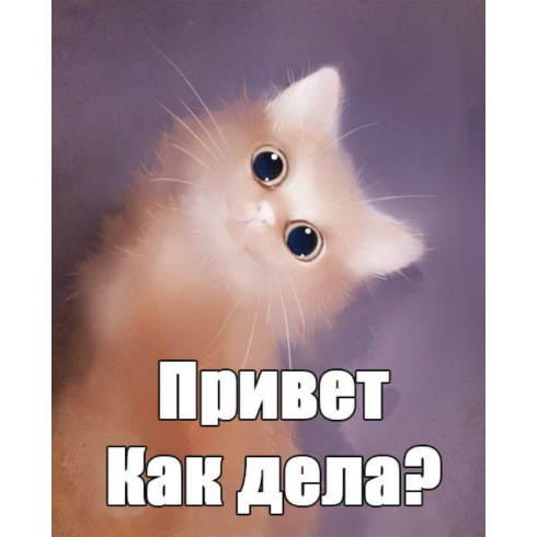 Привет ну ты даешь