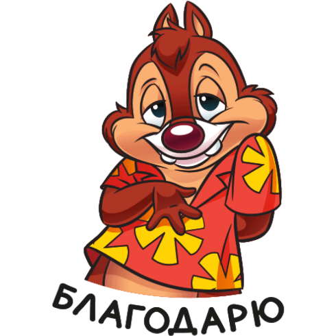 Чип