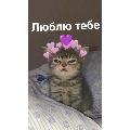Пушистик😙😚
